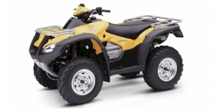 2004 Honda FourTrax Rincon™ 