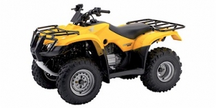 2005 Honda FourTrax Recon® ES