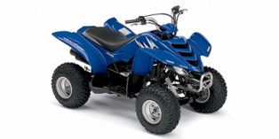 2006 Yamaha Raptor 50