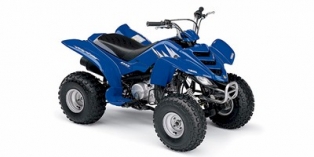 2007 Yamaha Raptor 80