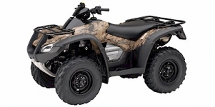 2007 Honda FourTrax Rincon™ 