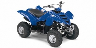 2007 Yamaha Raptor 50