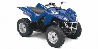 2007 Yamaha Wolverine® 450 4x4