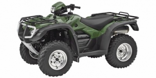 2008 Honda FourTrax Foreman® Rubicon