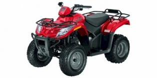 2009 Arctic Cat 250 2x4