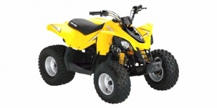 2009 Can-Am DS 90