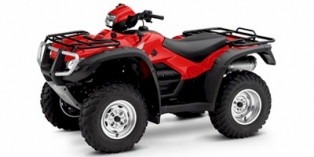 2009 Honda FourTrax Foreman® Rubicon