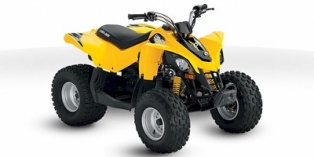 2010 Can-Am DS 90