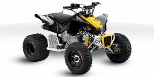 2011 Can-Am DS 90 X