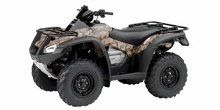 2010 Honda FourTrax Rincon™ GPScape