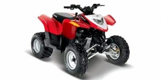 2010 Polaris Phoenix™ 200