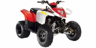 2011 Polaris Phoenix™ 200