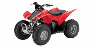 2013 Honda TRX™ 90X