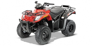 2014 Arctic Cat 300 2x4