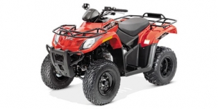 2015 Arctic Cat 300 2x4