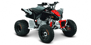 2020 Can-Am DS 90 X