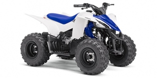 2017 Yamaha YFZ 50