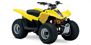2020 Suzuki QuadSport® Z50