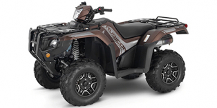 2021, 2022, 2023 Honda FourTrax Foreman® Rubicon 4x4 Automatic DCT EPS Deluxe